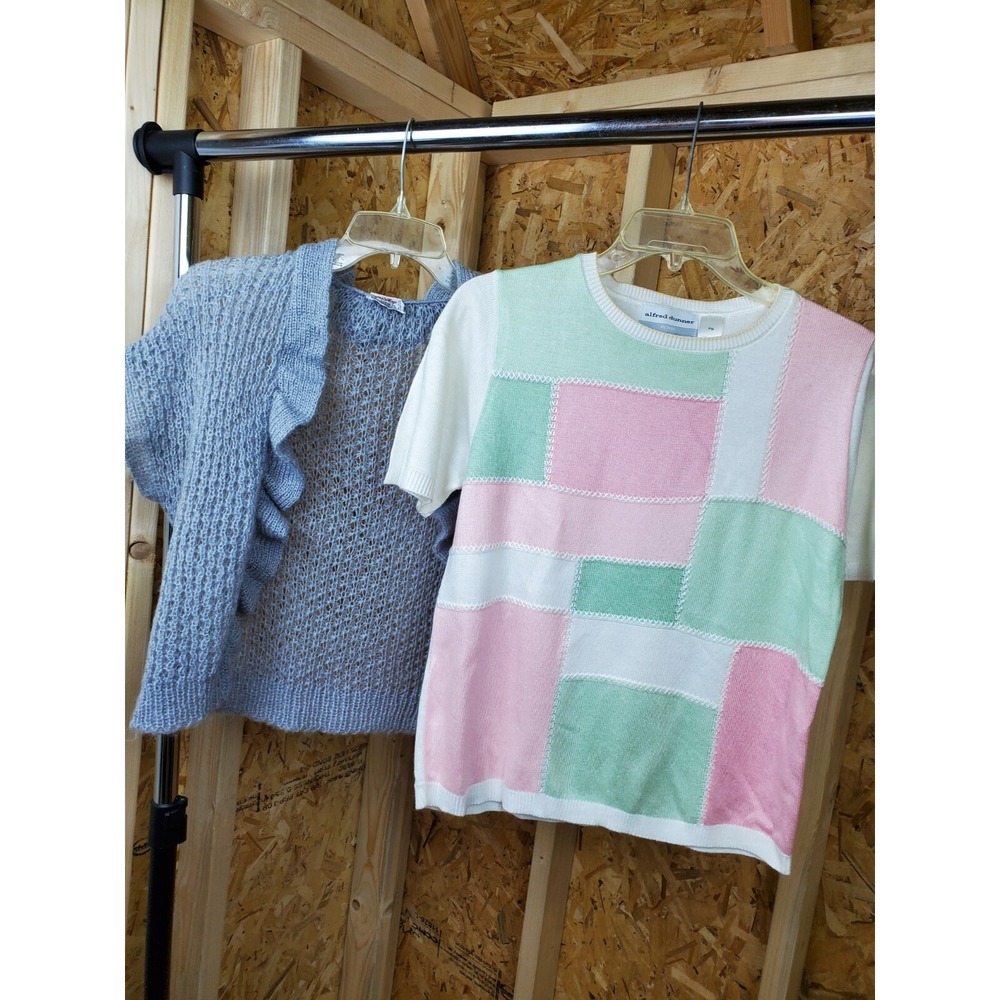 Short Sleeve Tops Size Petite Medium Lot Of 2 Alfred Dunner & English Village
